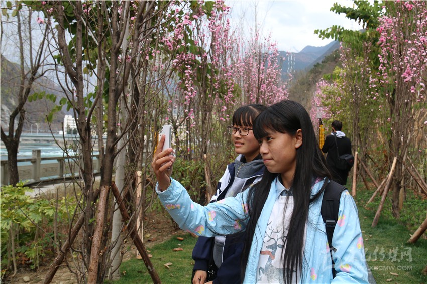 春光俏！“醉”是瀘定春三月，踏青賞花正當(dāng)時